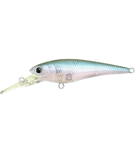 チャドシャッド 180 ビッグベイトシーバス Amazon.co.jp: SPRO KGB Chad Shad 180 ビックベイト チャド